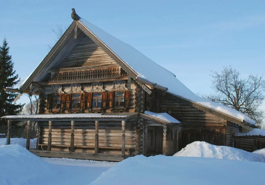 Автобус| В царстве снега и былин: Новгородские просторы