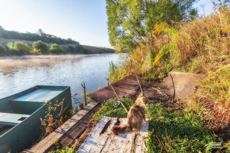 Резная песнь любви в Зачарованной глухомани (промо)