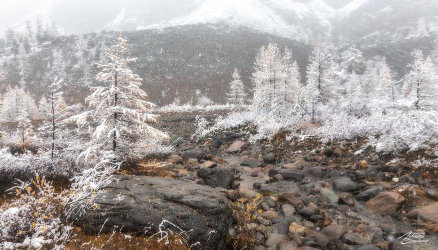 Автобус| Волшебные каникулы в Адыгее