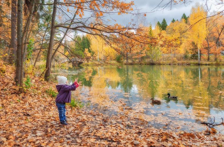 Где Ока — не река, а музей без стен