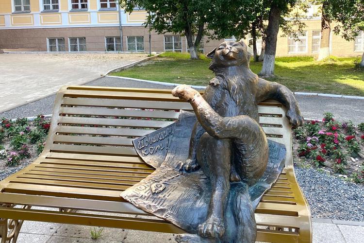 В гости к Йошкиному коту (2д/1н)