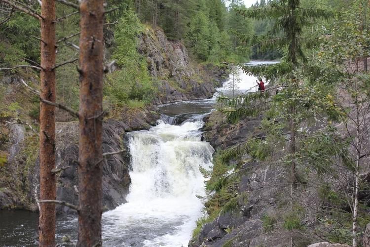 Автобус| Сияние северных озёр