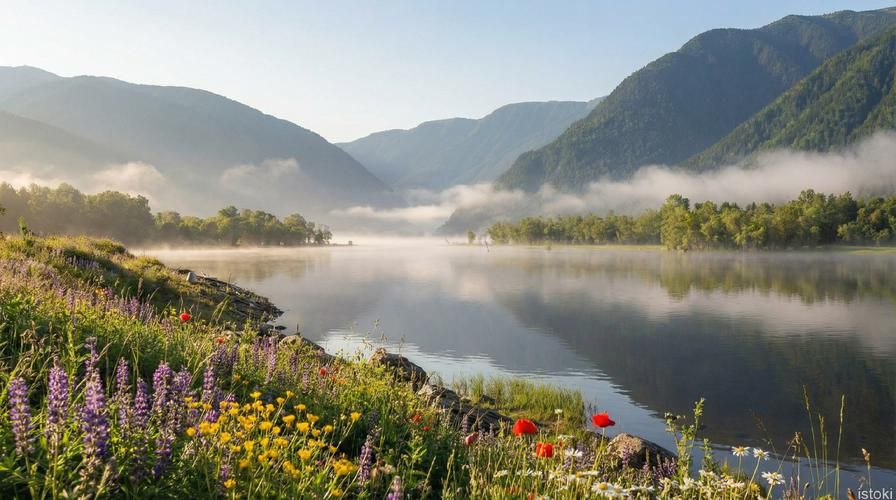 Великие просторы Алтая