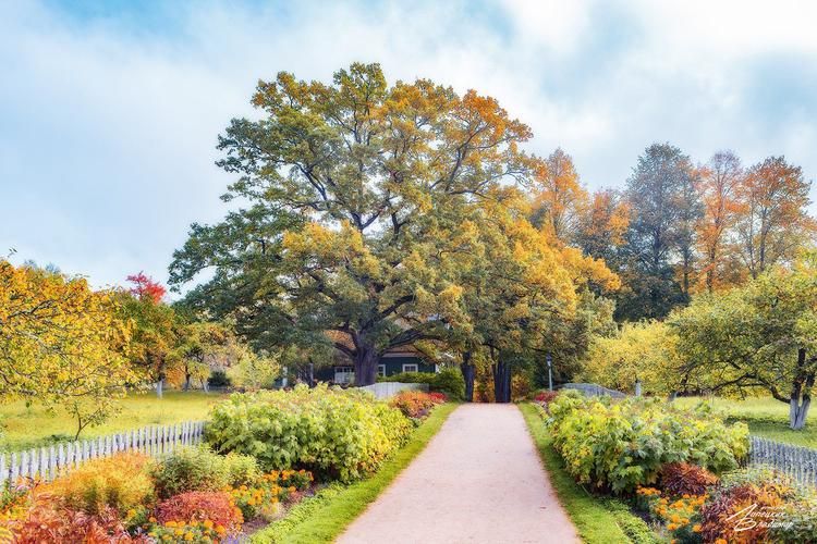 Где каждый камень шепчет: «останься ещё»