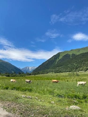 Летим в Азербайджан: в путешествии по следам зимнего праздника
