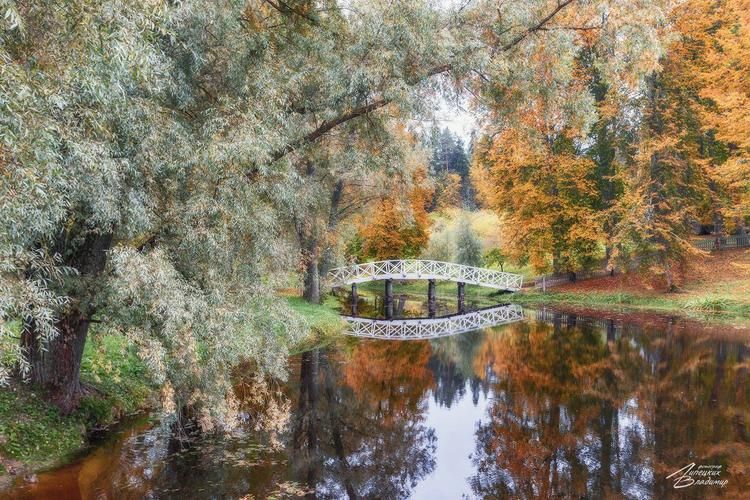 Автобус| Дивы и дворцы Белогорья