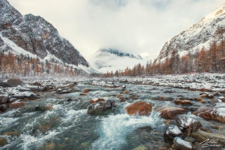 Алтайская симфония чувств