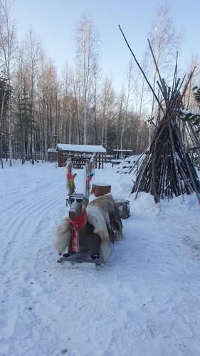 Автобус| Сарапул гастрономический (промо)