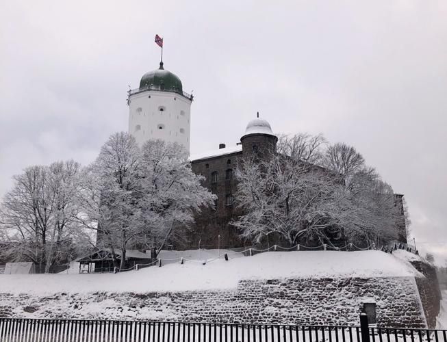 Сказка в каменных стенах: новогодние ритуалы Петербурга