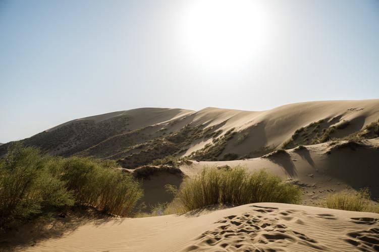 Величие гор: Чечня и Дагестан