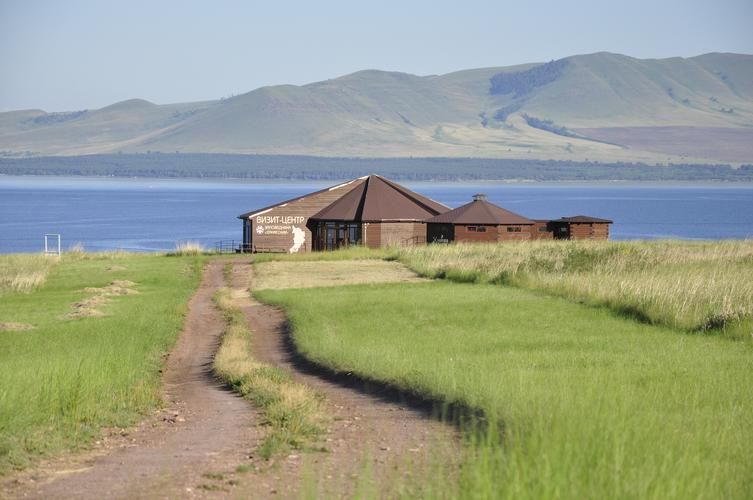 Камчатка в кадре: там, где медведь идёт по лаве