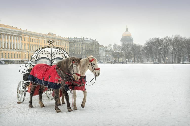 Когда Эрмитаж дышит гирляндами
