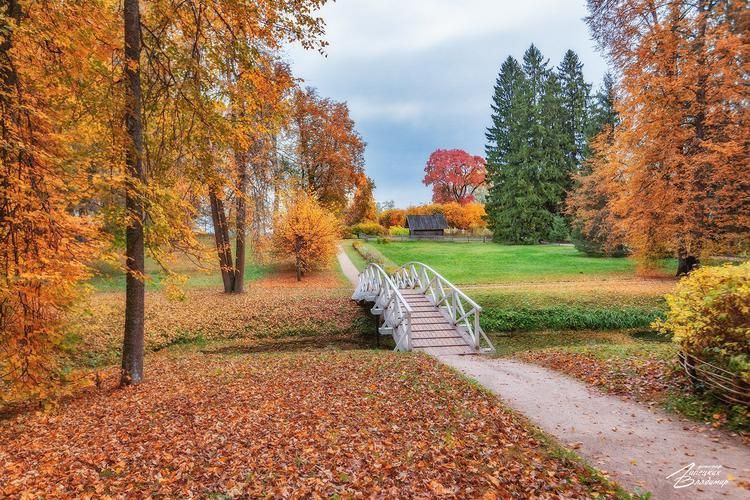 Автобус| Русь в её величии: от кремлёвских стен до золотых куполов