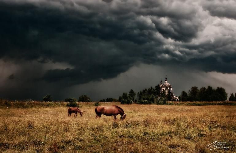 Автобус| Водный отдых в Лимпопо: горки, бассейны и спа