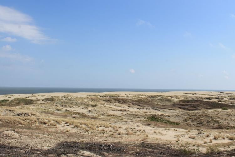 Каждый оттенок — история, которую не расскажешь, только почувствуешь