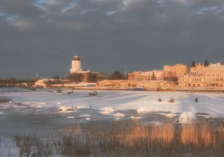 Сказка в каменных стенах: новогодние ритуалы Петербурга
